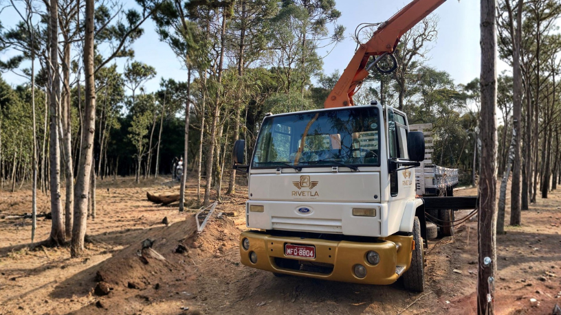 A prática da equitação como hobby transforma o cuidado diário com os cavalos em bem-estar físico, disciplina e qualidade de vida, como destaca Altevir Seidel.