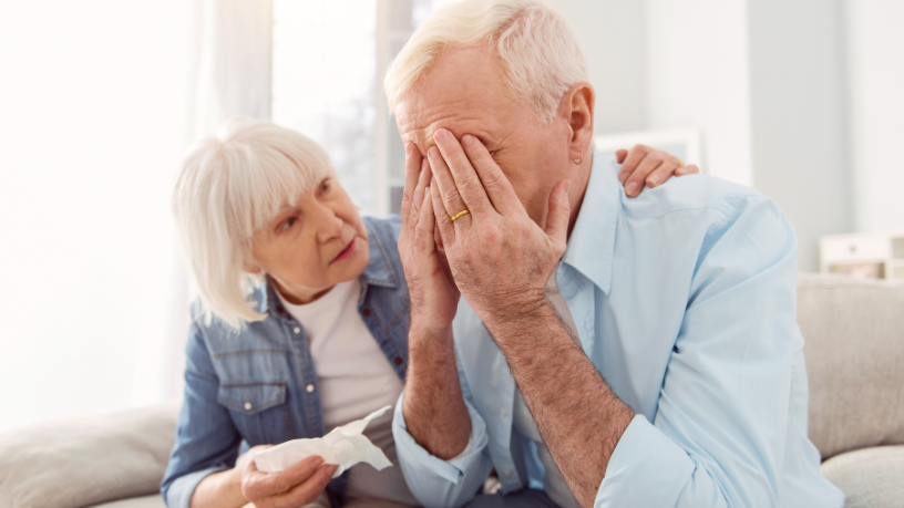 Sindnapi - Sindicato Nacional dos Aposentados, Pensionistas e Idosos