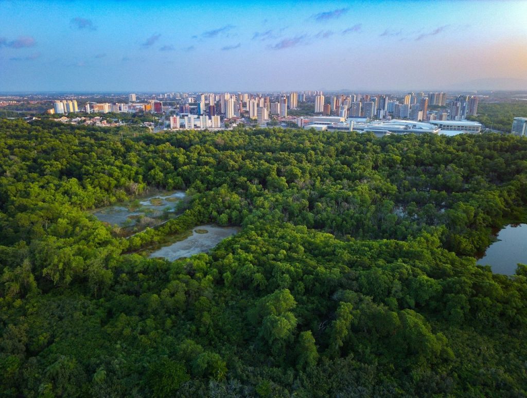 Vista aérea de uma cidade junto a uma extensa área de floresta tropical ao entardecer.